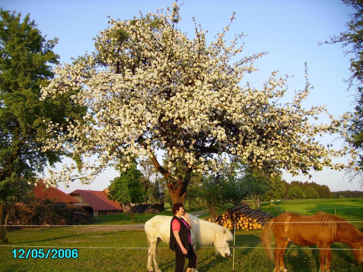 Gestehof Hetzenberg Haag Dış mekan fotoğraf
